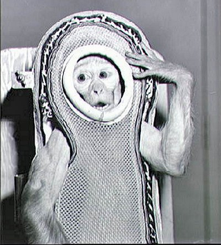 Illustration for article titled The Grisly Failures of Project Albert, Precursor to the Apollo Space Program